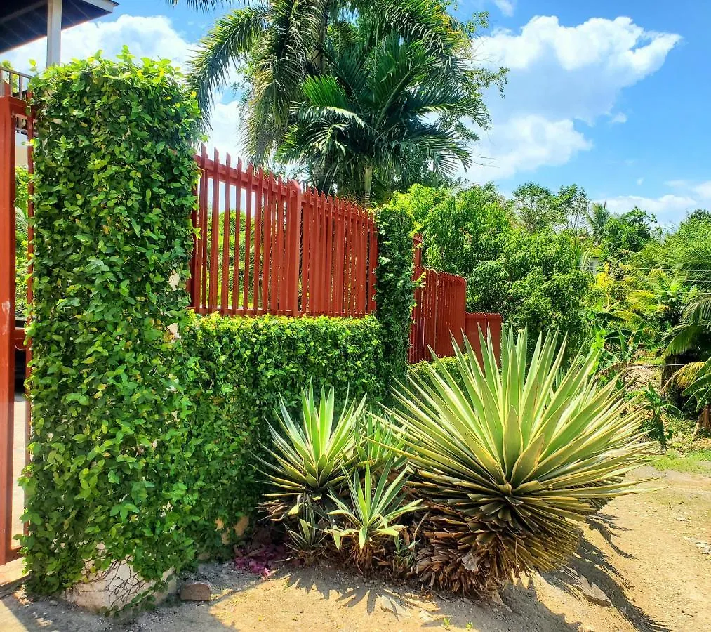 Sunbreeze Ocho Rios - A Spacious, Homely Apartment Jamaica