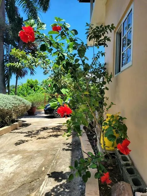 Sunbreeze Ocho Rios - A Spacious, Homely Apartment