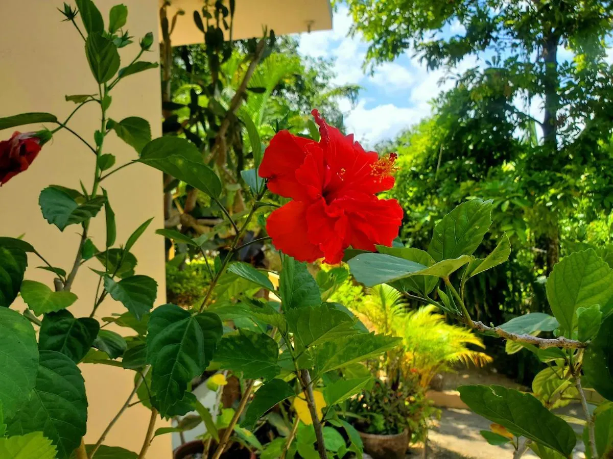 Sunbreeze Ocho Rios - A Spacious, Homely Apartment